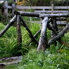 Brücke über Bach auf Skye