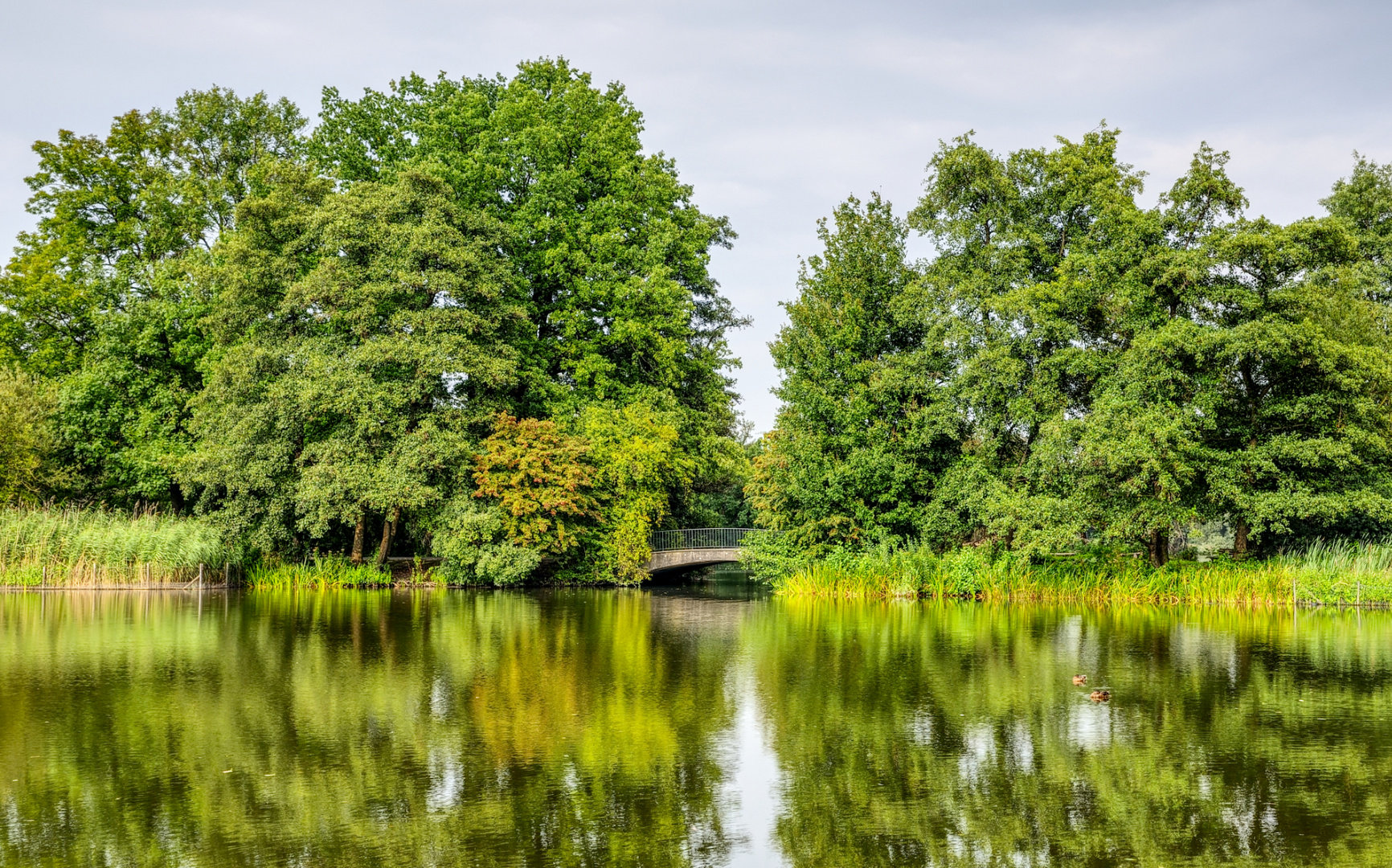 Brücke über den Annateich (HannoverKleefeld) Foto & Bild landschaft