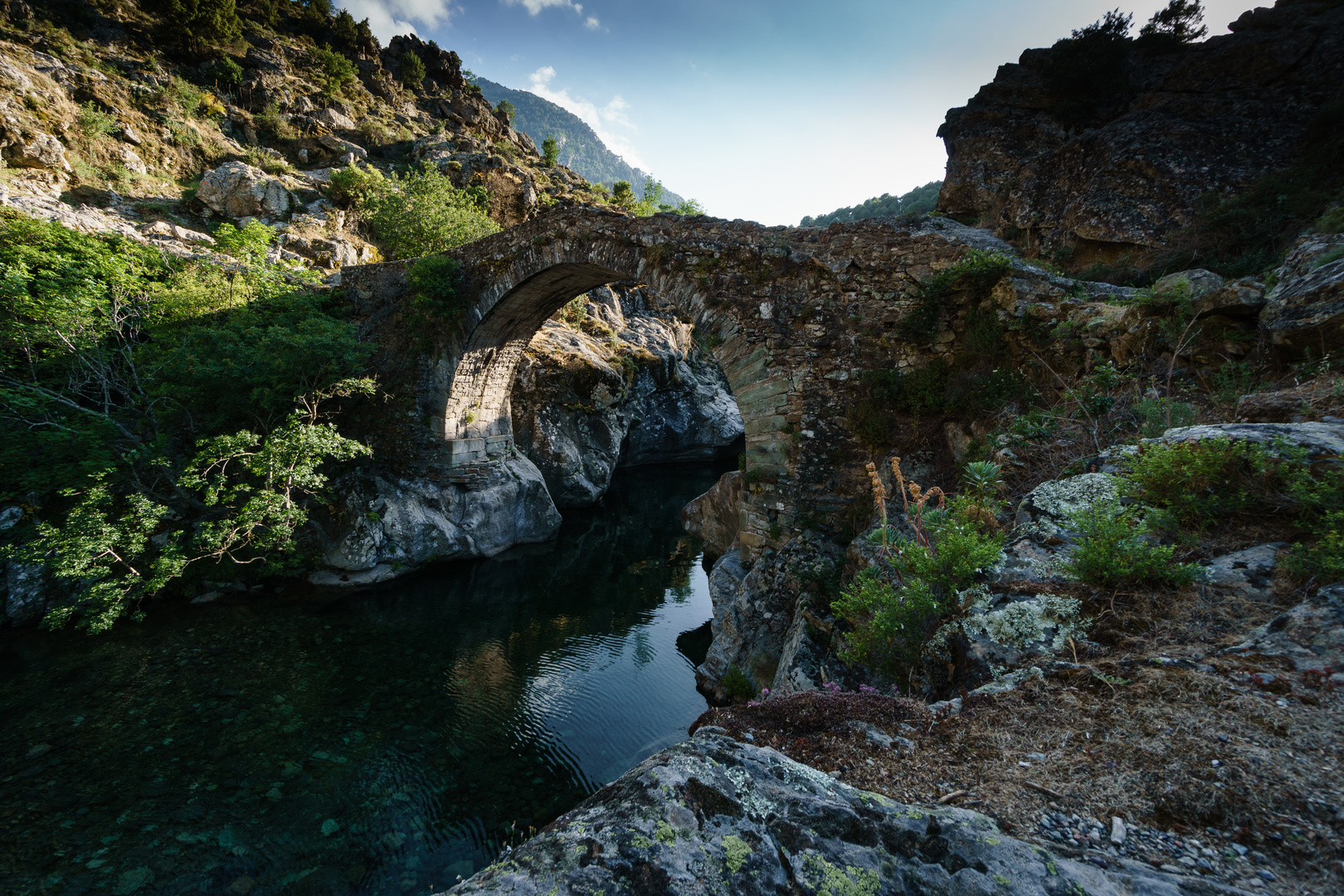 Brücke über den Asco in Korsika