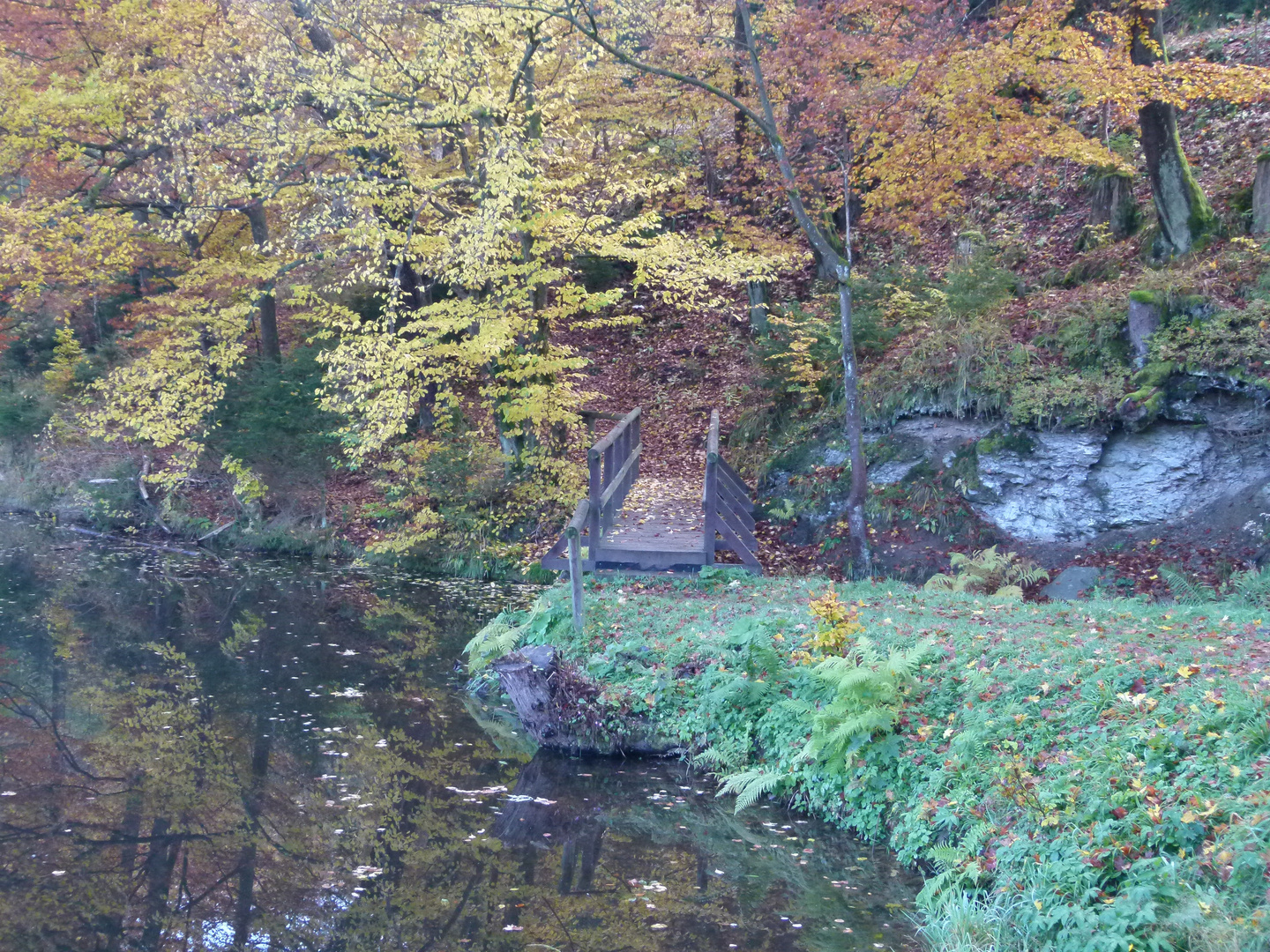 Brücke über den Bach im Herbstsommer 2012