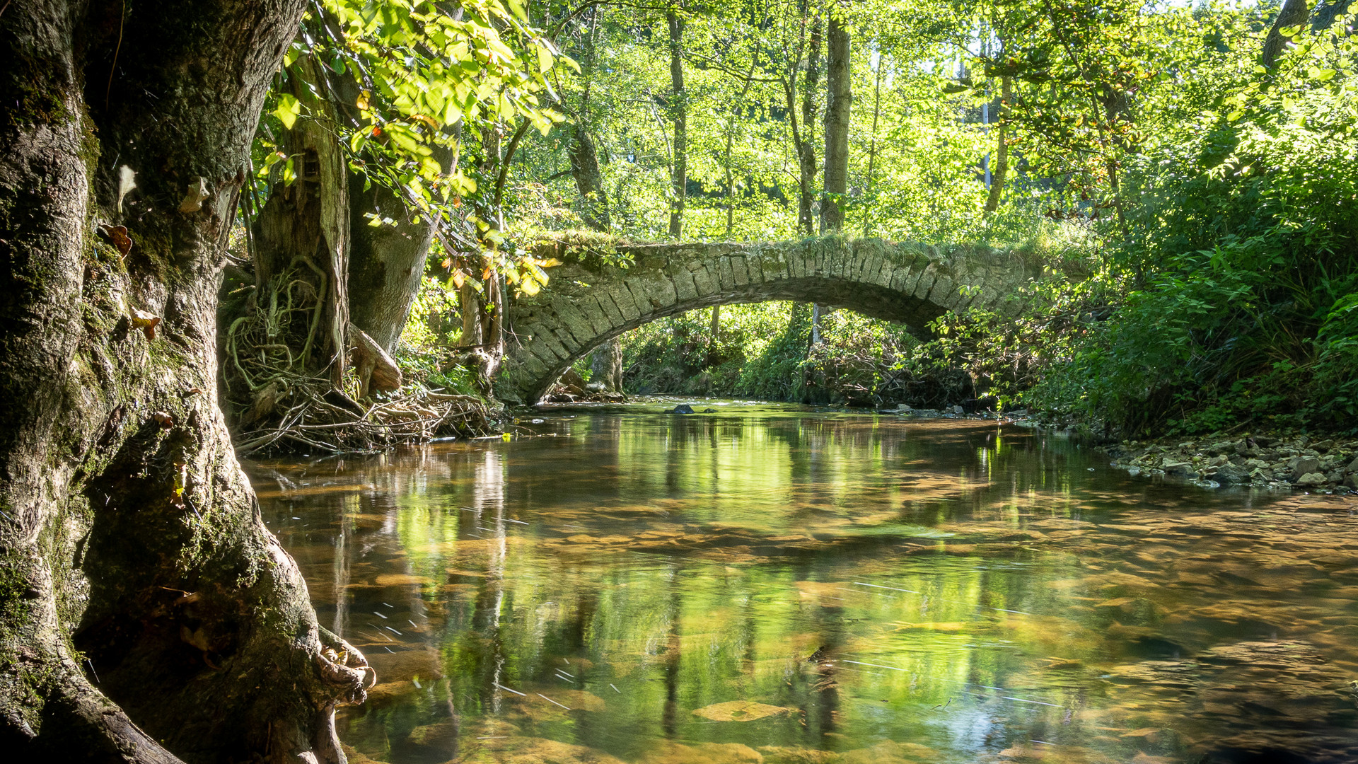 Brücke über den Buchenbach