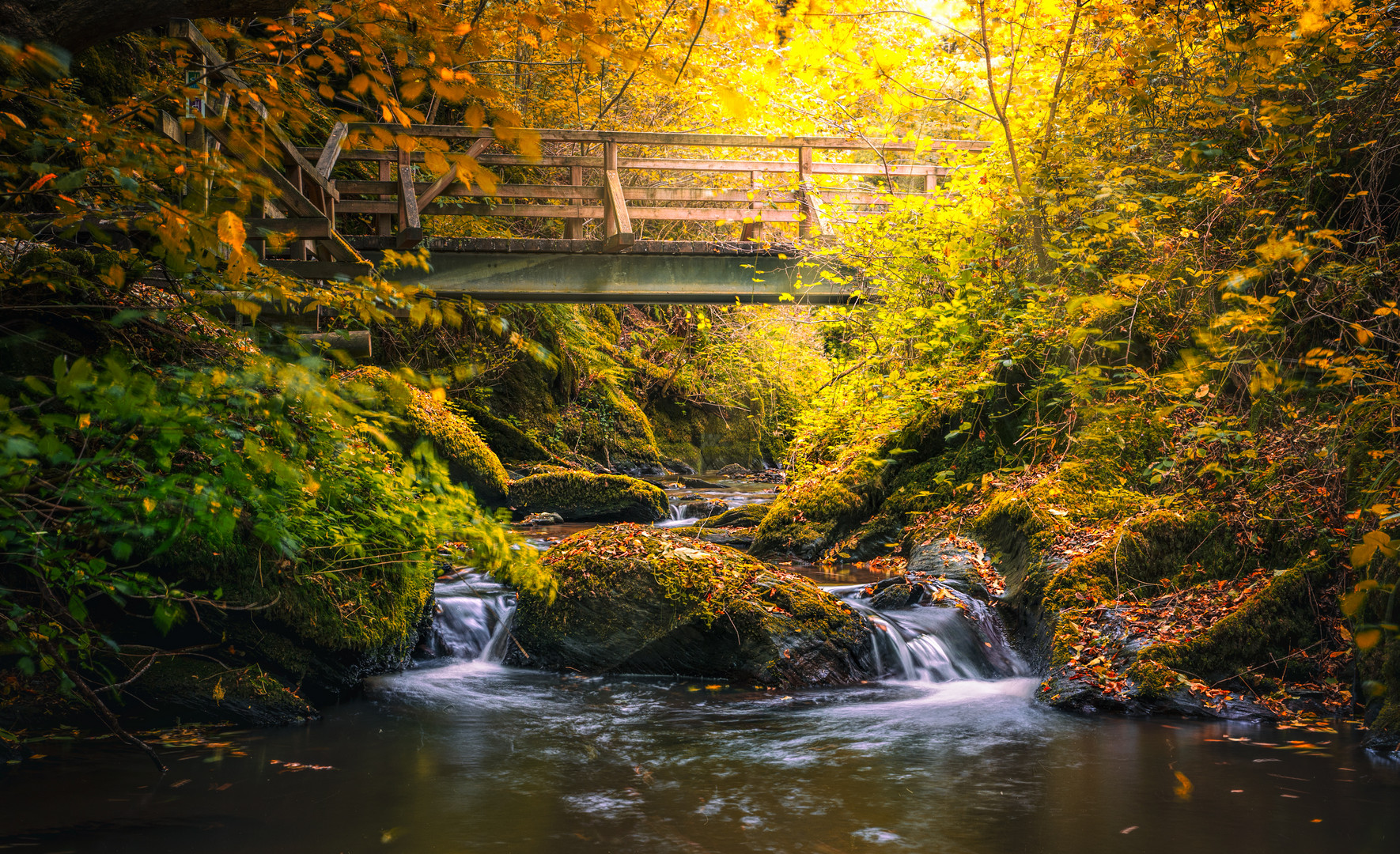 Brücke über den Ehrbach