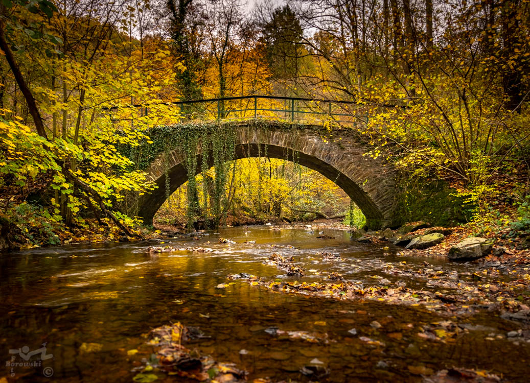 Brücke über den Eltzbach