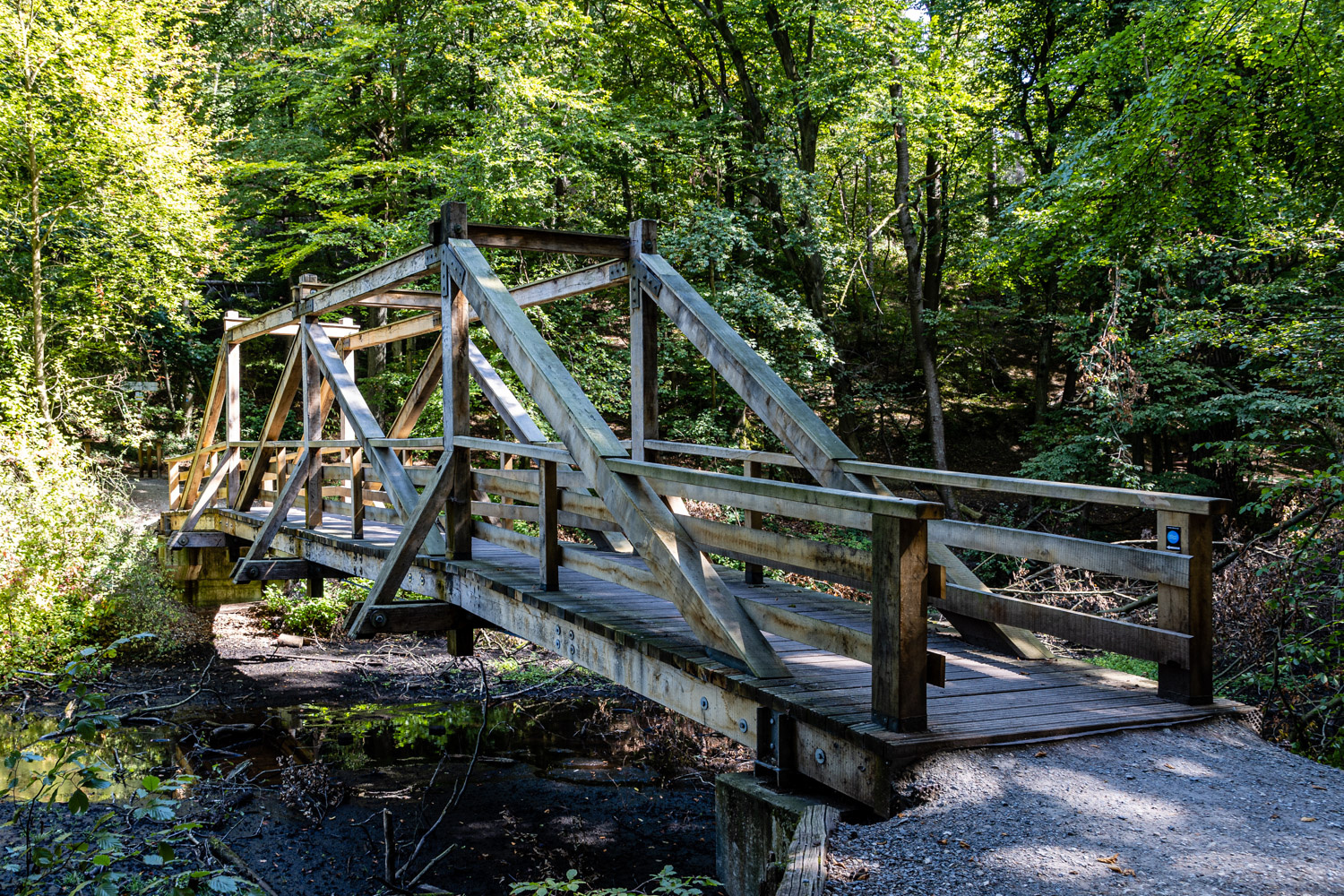 Brücke über den Hasselbach