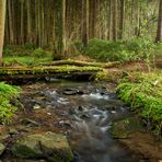 Brücke über den Holzbach