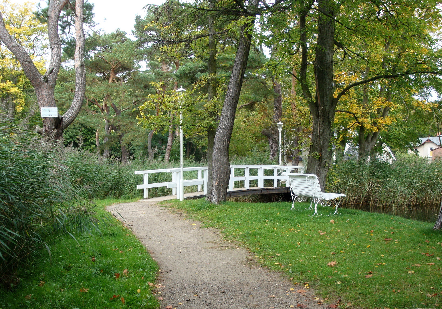 Brücke über den Karpfenteich in Kühlungsborn Foto & Bild landschaft
