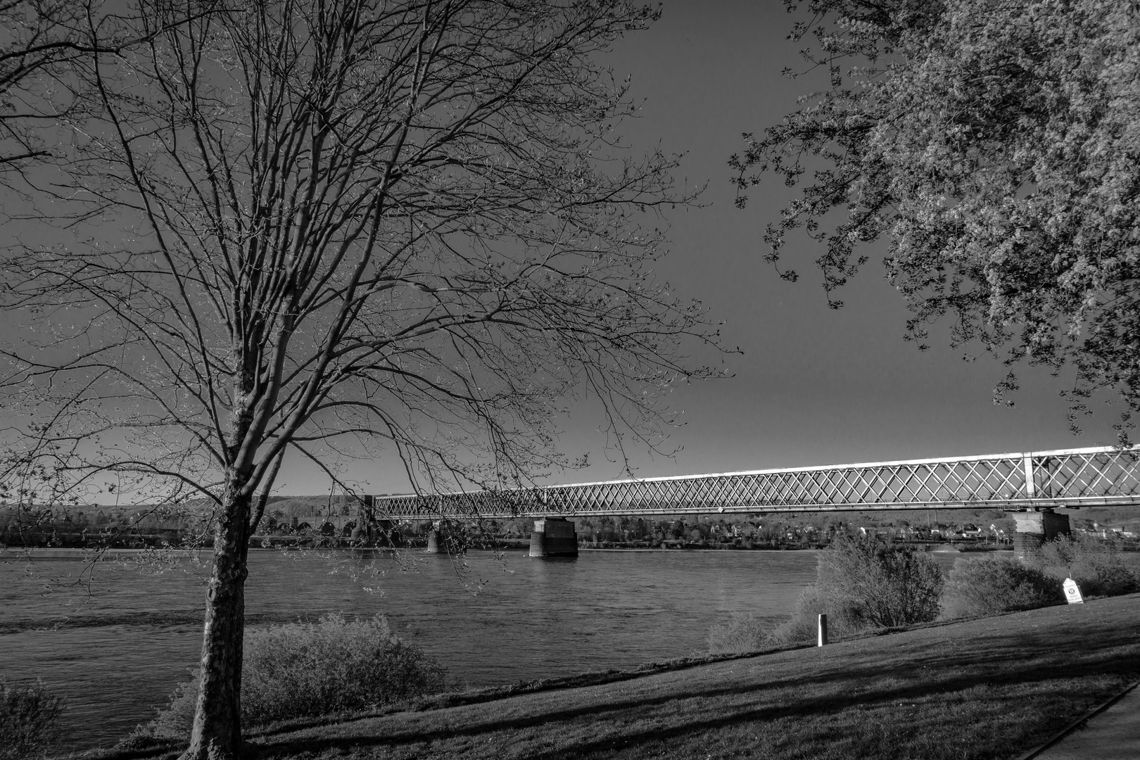 Brücke über den Rhein