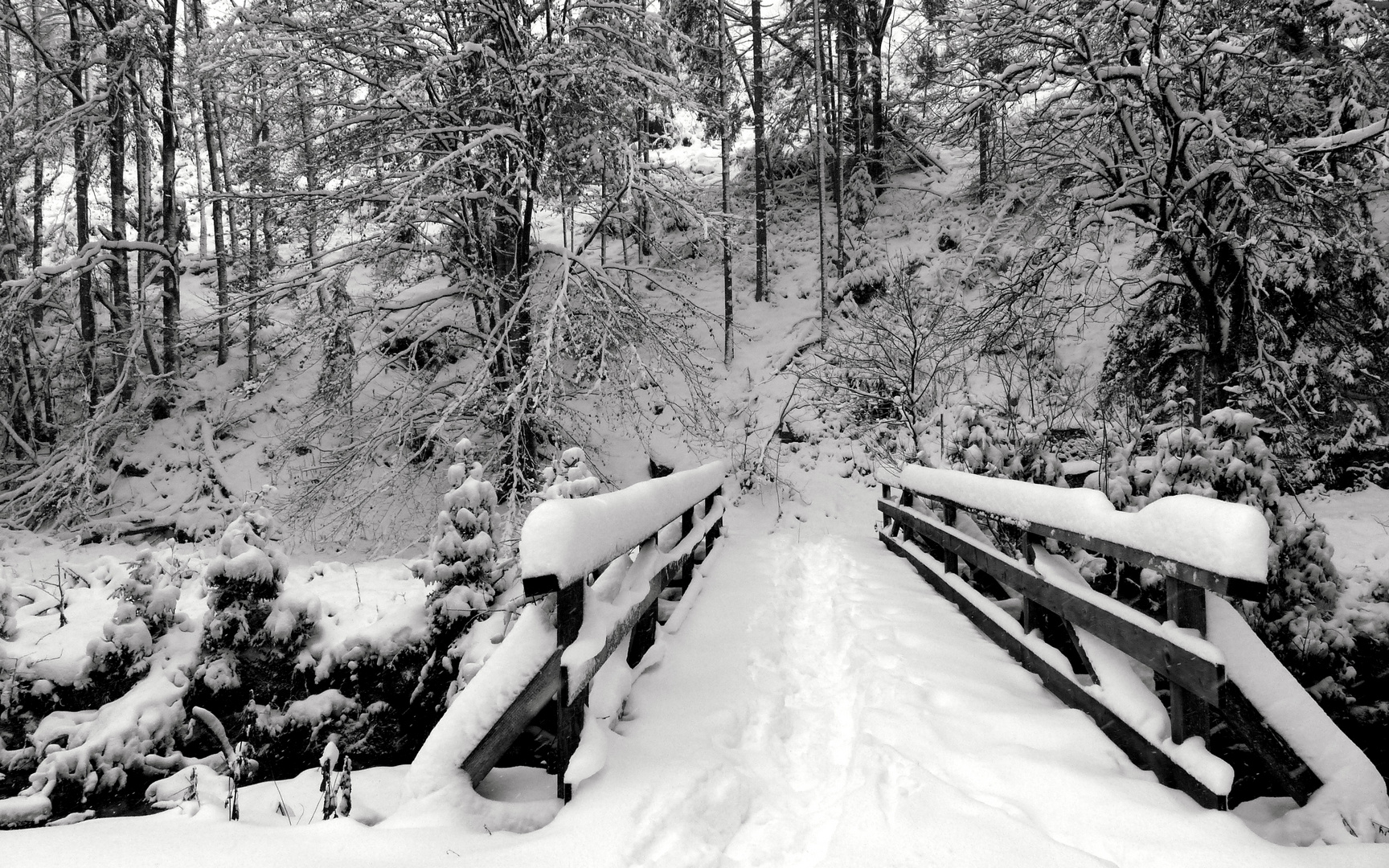 °°°° Brücke über den Tonbach °°°°