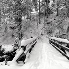 °°°° Brücke über den Tonbach °°°°