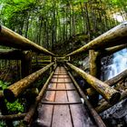 Brücke über den Wasserfall im Wald