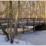 Brücke über den winterlichen See