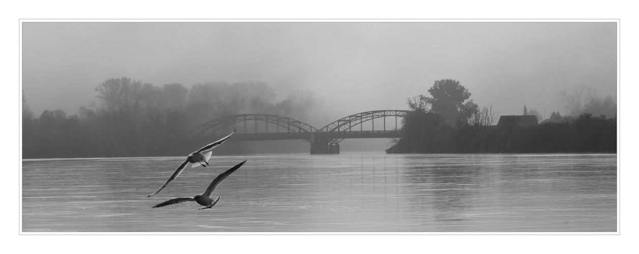 Brücke über die Aare bei der Einmündung in den Rhein.