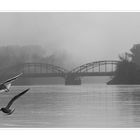 Brücke über die Aare bei der Einmündung in den Rhein.