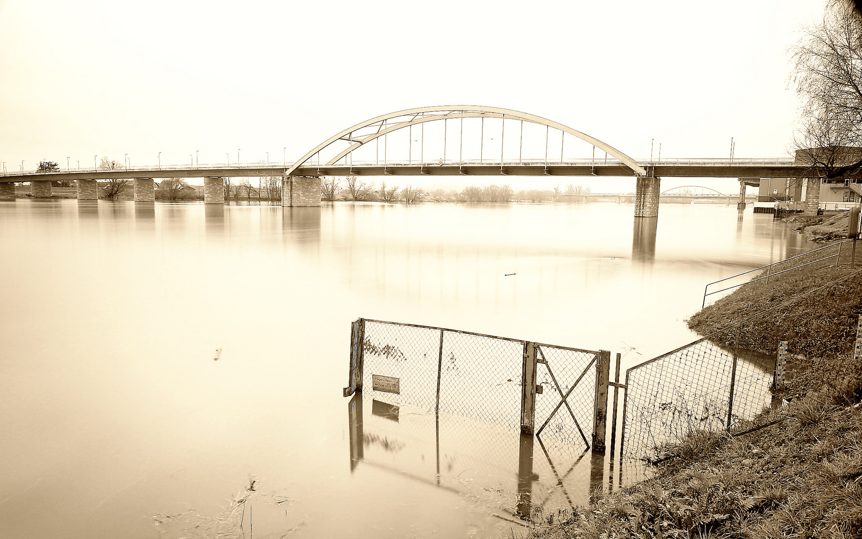 Brücke über die Donau