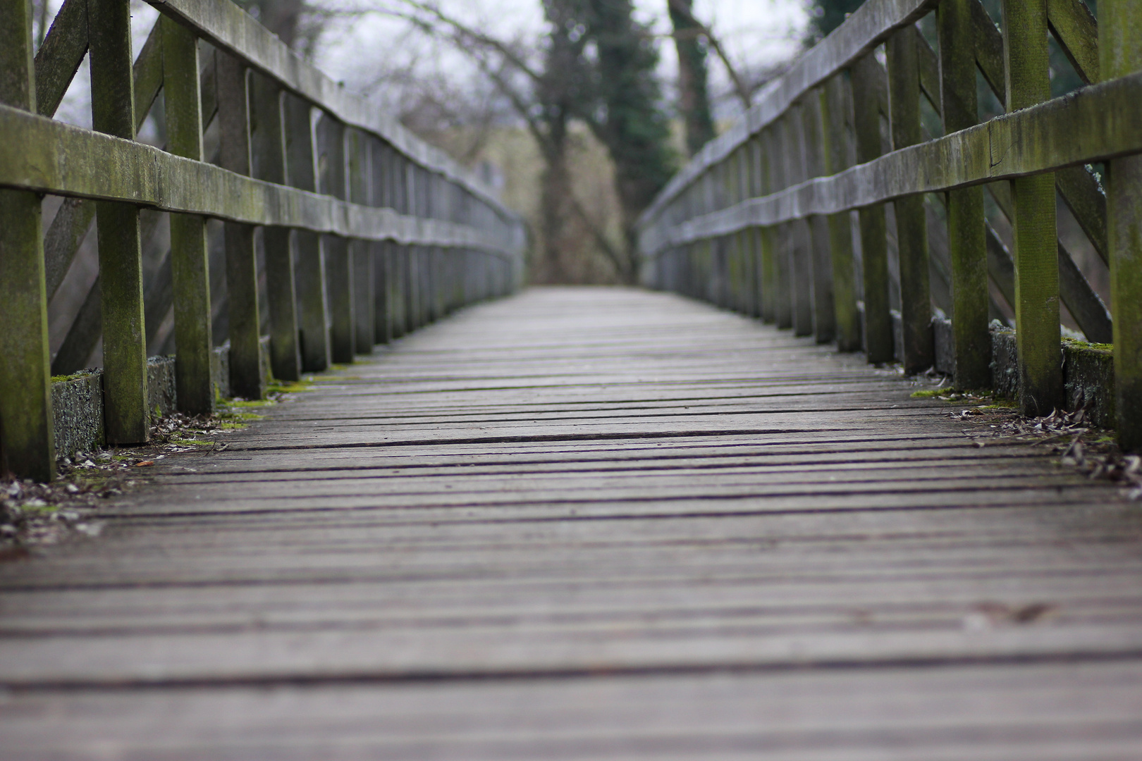 Brücke über die Elz