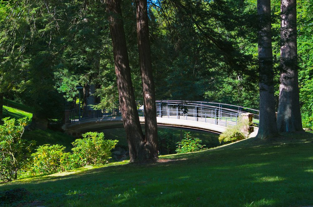 Brücke über die Enz