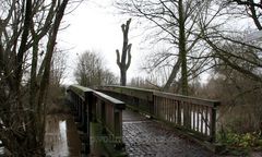 Brücke über die Leine in der Wülfeler Masch