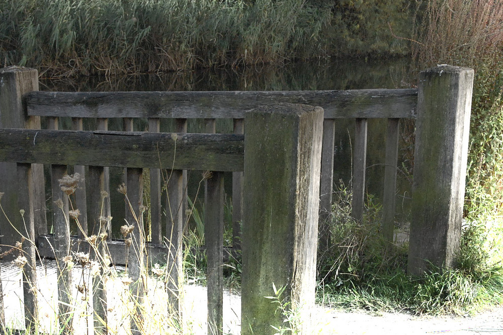 Brücke über einem Teich