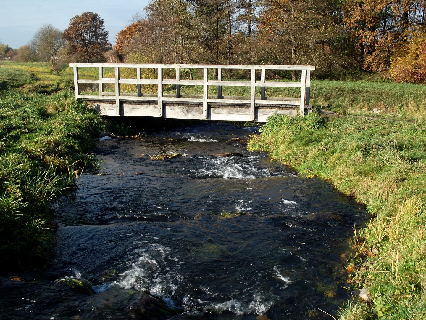 brücke über fischtreppe