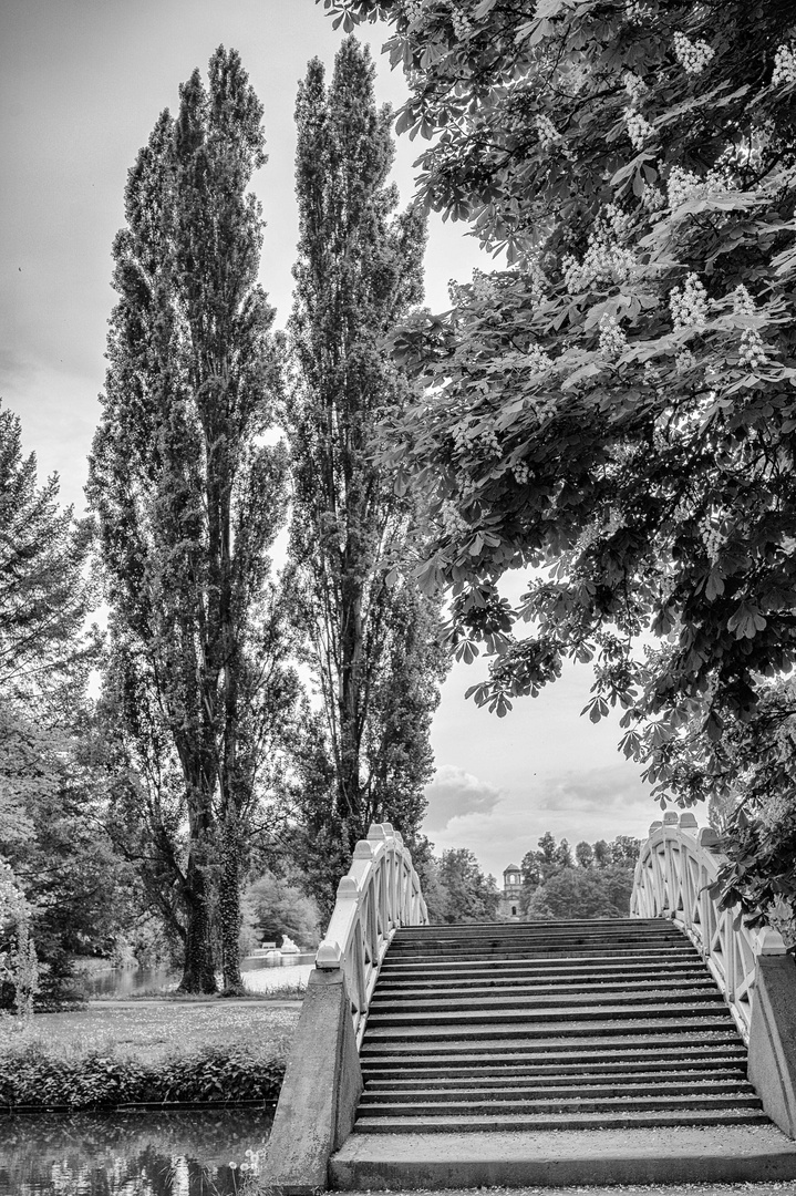 Brücke und Bäume