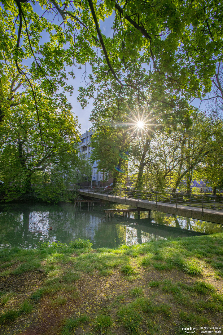 Brücke und Gegenlicht