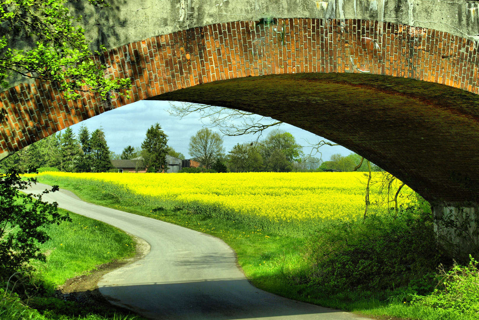 Brücke und Raps