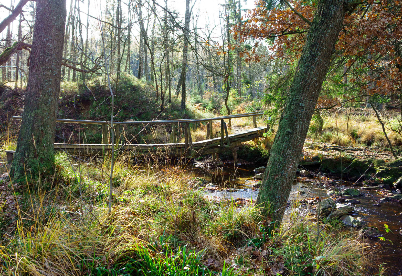 Brücke, Vennwanderung,