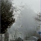 Brücke vor Baum im Nebel