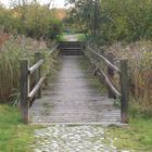 brücke wandern