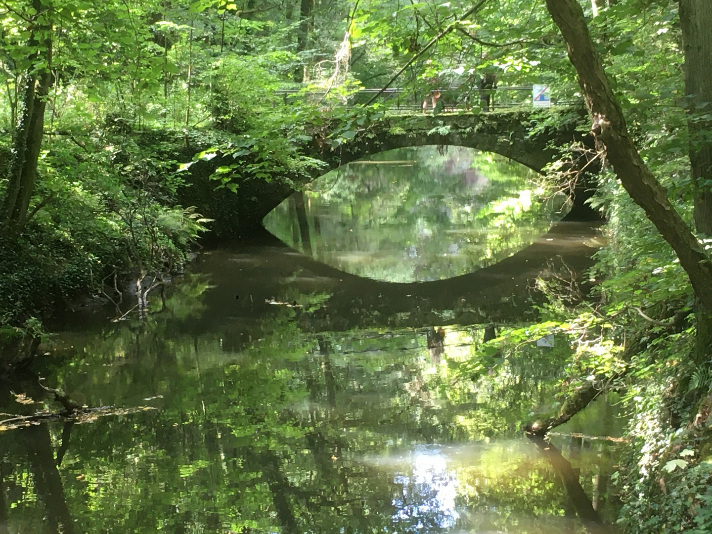 Brücke Wesenitztal Elbsandsteingebirge