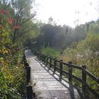 Brücke zu einer anderen Welt