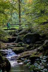 Brücke zum Bütthof