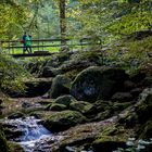 Brücke zum Bütthof