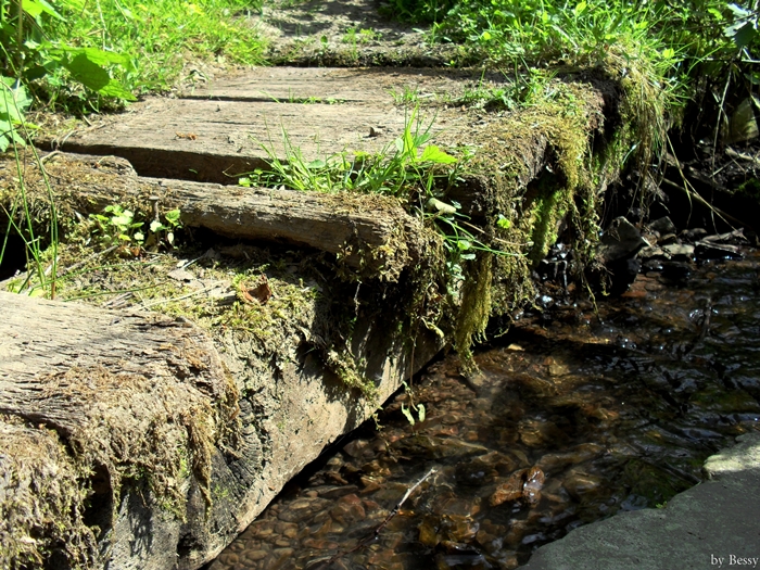 Brücke zum Glück