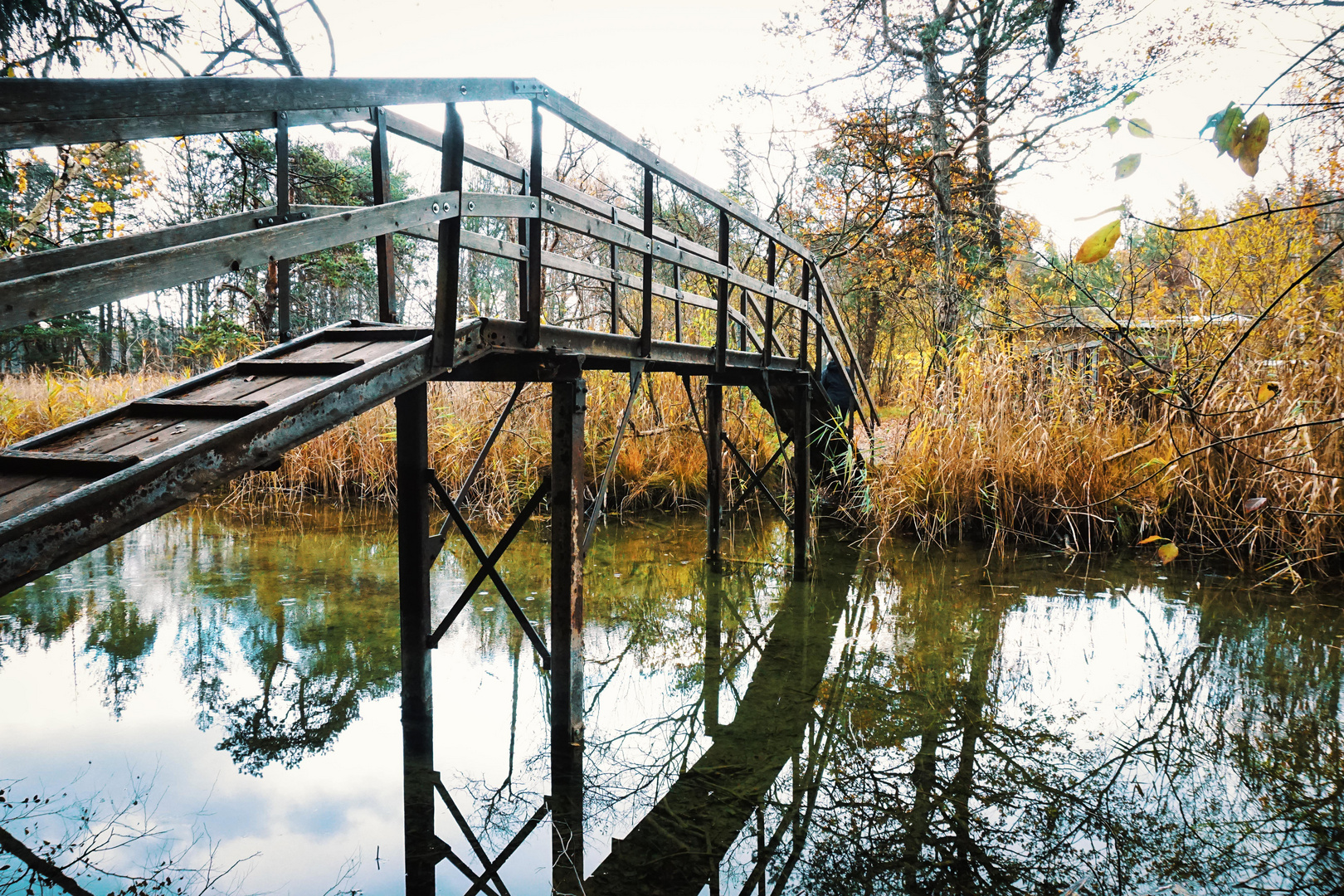 Brücke zum Herbst