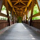 Brücke zum Hexenwald