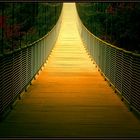 Brücke zum Licht