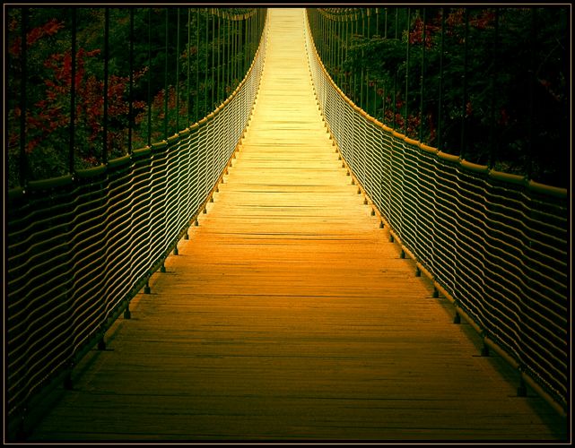 Brücke zum Licht