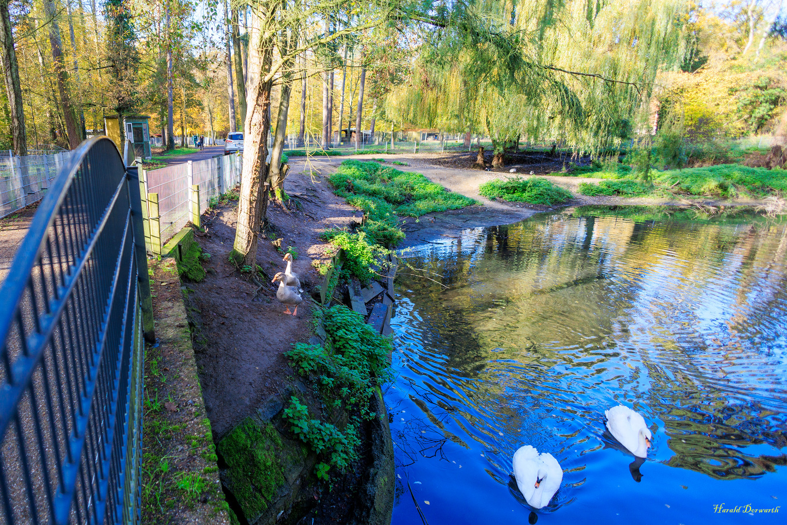 Brücke zum Säugetier Bereich