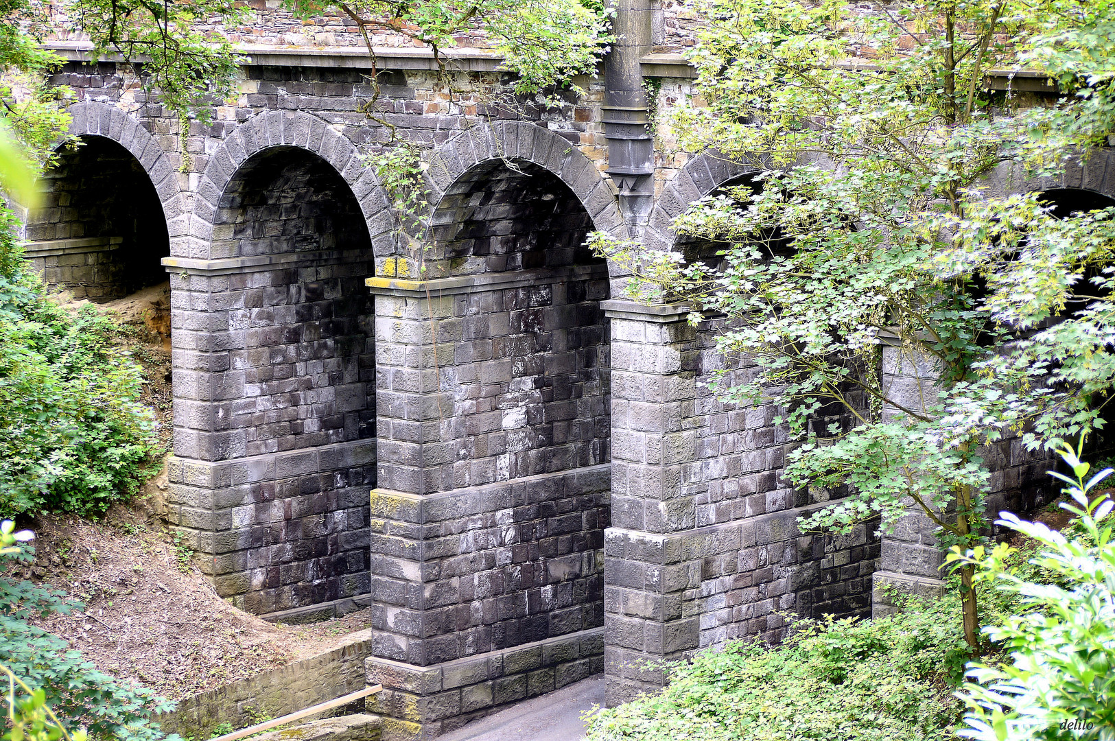 Brücke zum Schloss Stolzenfels