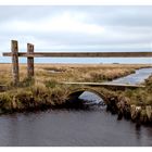 Brücke zum Strand