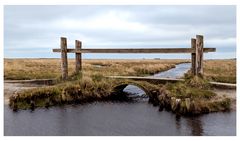 Brücke zum Strand