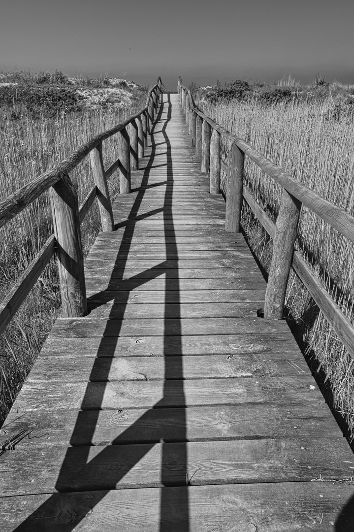 Brücke zum Strand