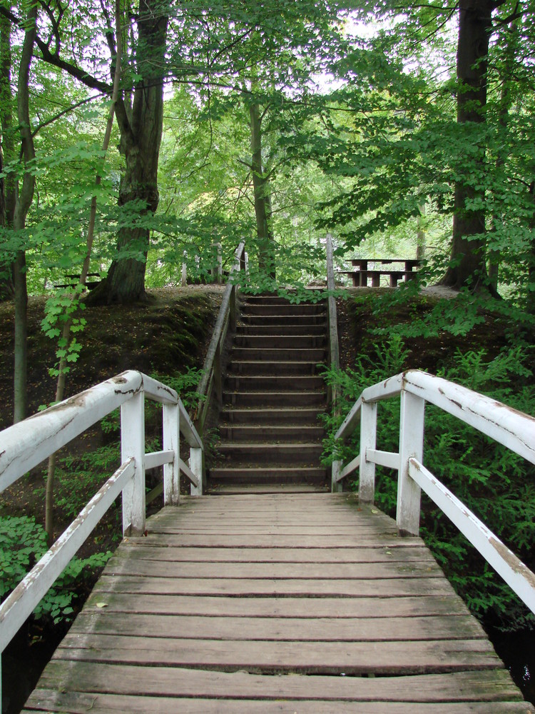 Brücke zum Wald