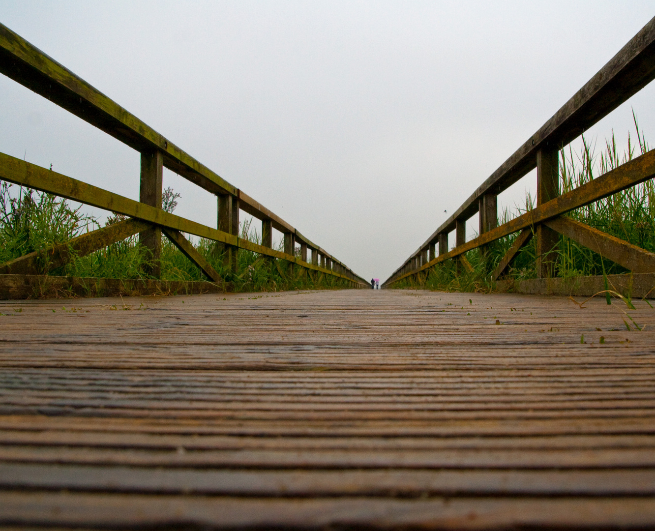 Brücke zum Watt bei Nordstrand