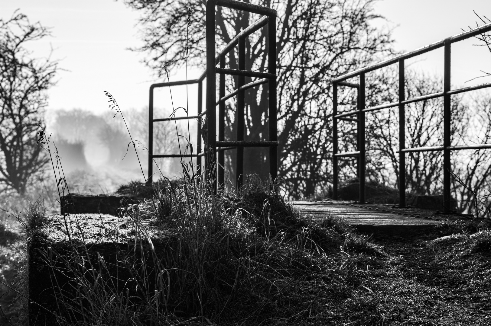 Brücke zum Weg ins Licht