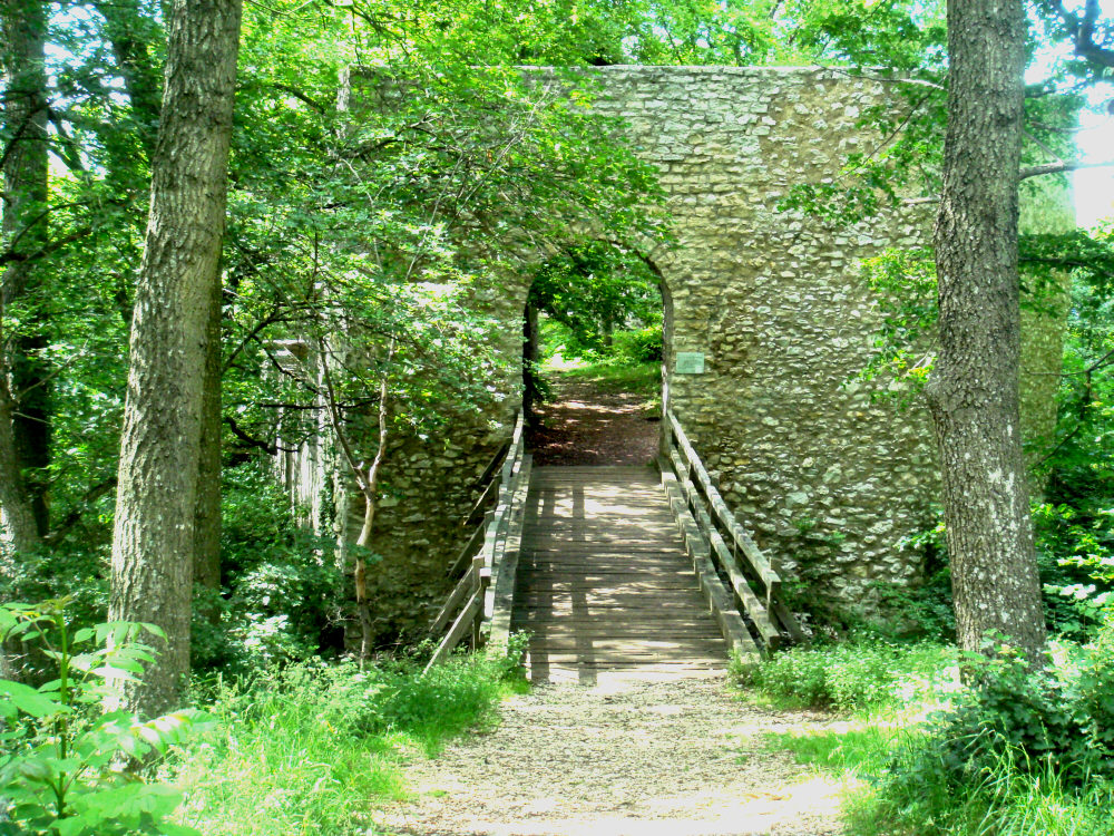 Brücke zur Diepoldburg