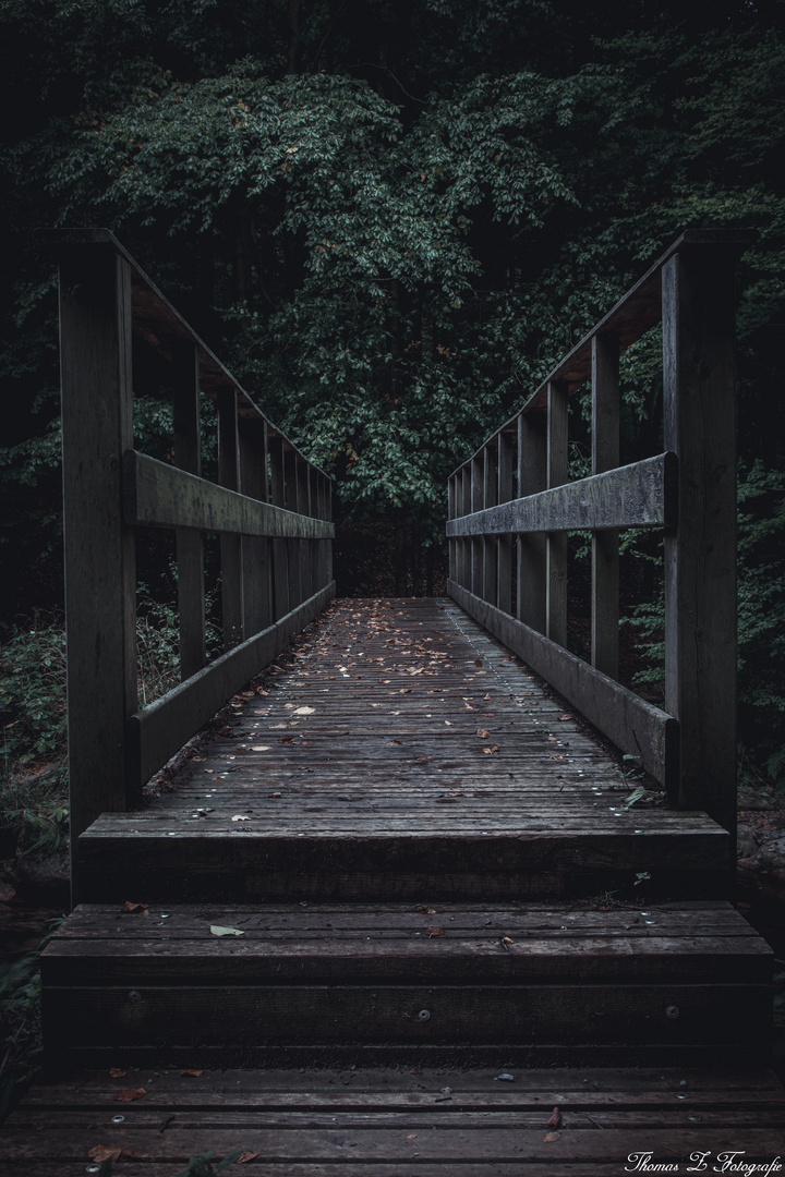 Brücke zur dunklen Seite 