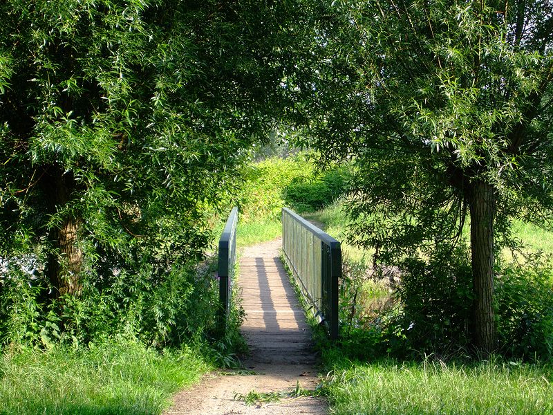 Brücke zur grünen Insel