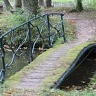 Brücke zur "Ile de Demoiselles" - Parc de Schoppenwihr